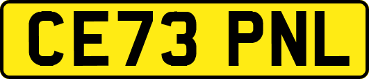 CE73PNL