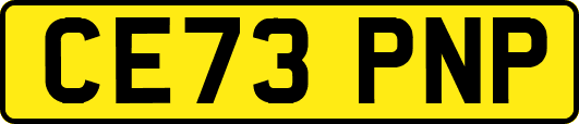CE73PNP