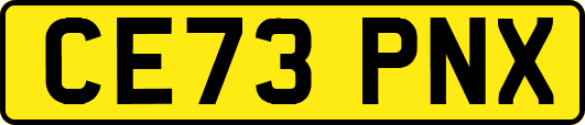 CE73PNX