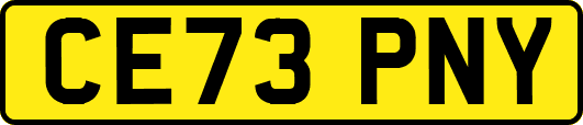 CE73PNY
