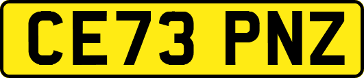 CE73PNZ