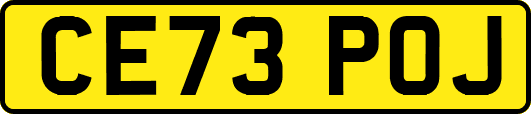 CE73POJ