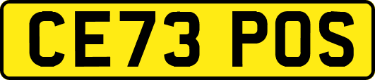 CE73POS