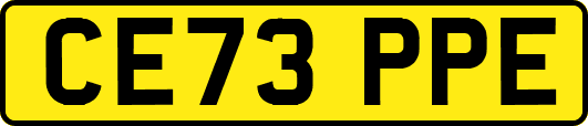 CE73PPE