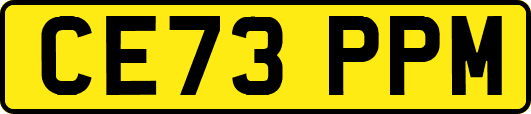 CE73PPM