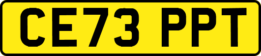 CE73PPT
