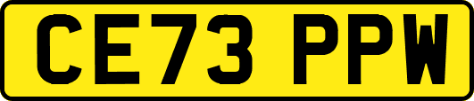 CE73PPW