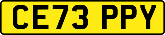 CE73PPY