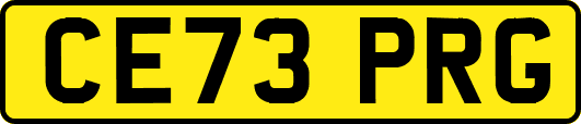 CE73PRG