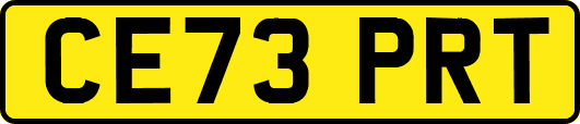 CE73PRT