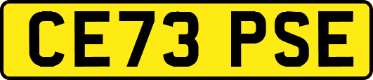 CE73PSE