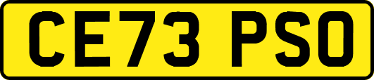 CE73PSO