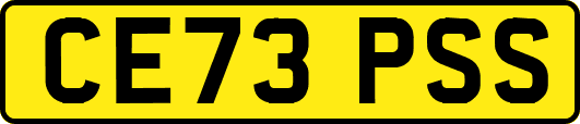 CE73PSS