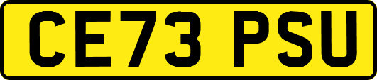 CE73PSU