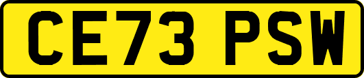 CE73PSW