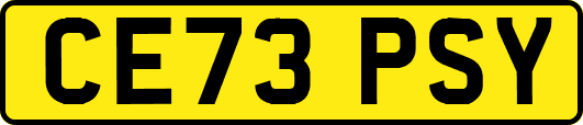 CE73PSY
