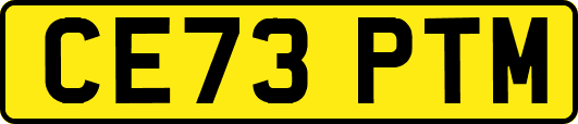 CE73PTM