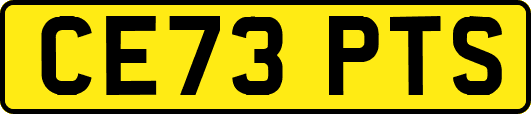 CE73PTS