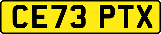 CE73PTX