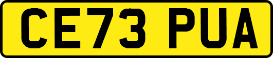 CE73PUA