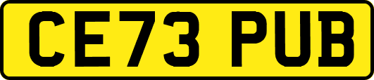 CE73PUB