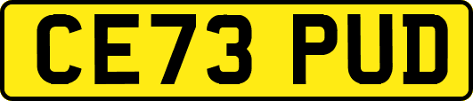 CE73PUD