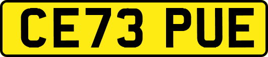 CE73PUE