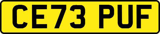 CE73PUF