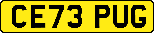 CE73PUG