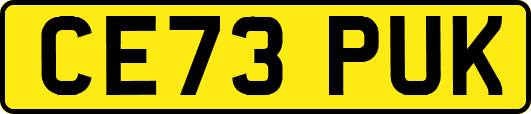 CE73PUK