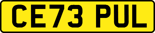 CE73PUL