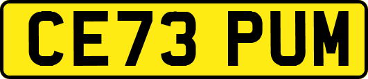 CE73PUM