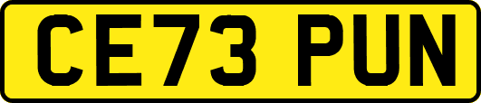 CE73PUN