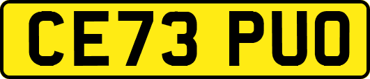 CE73PUO