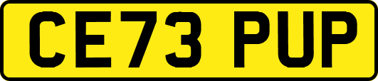 CE73PUP
