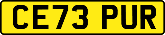 CE73PUR