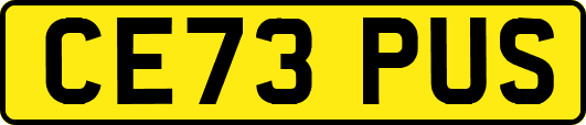 CE73PUS