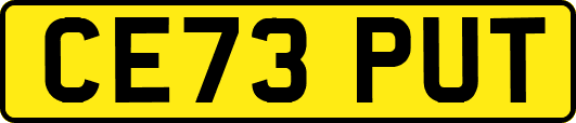 CE73PUT