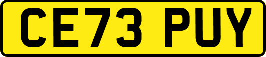 CE73PUY