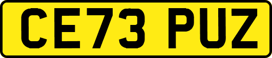 CE73PUZ