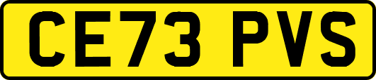 CE73PVS