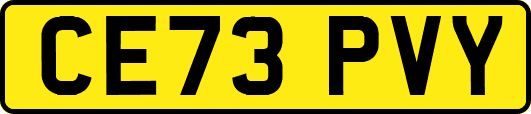 CE73PVY