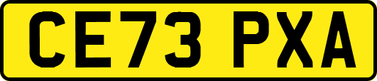 CE73PXA