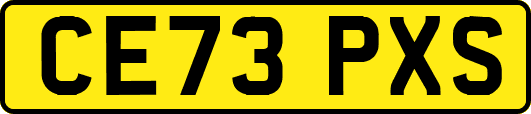 CE73PXS