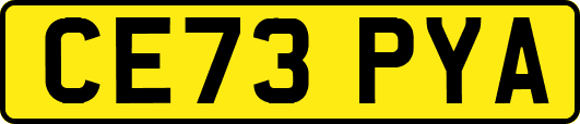 CE73PYA
