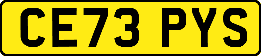 CE73PYS