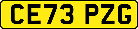 CE73PZG