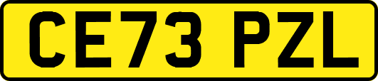 CE73PZL