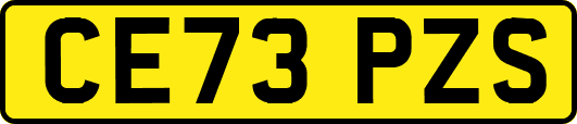 CE73PZS