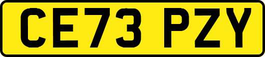 CE73PZY